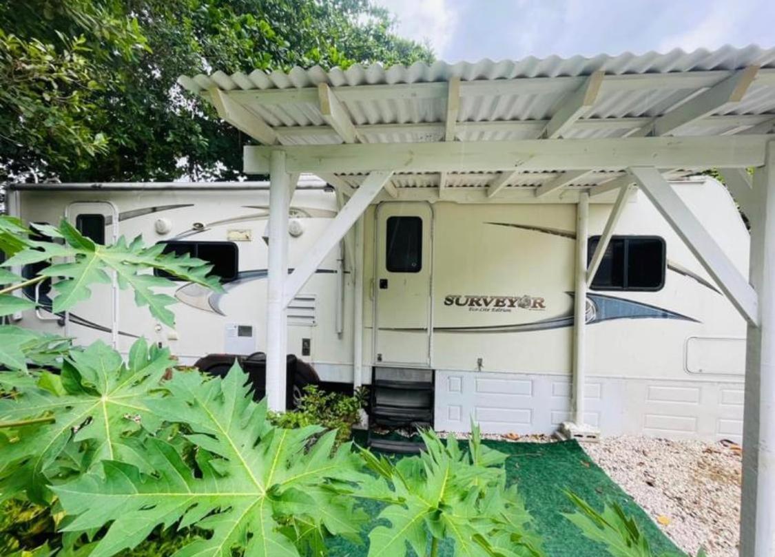 Hotel Rv In The Little Jungle By Legnalife Homestead Exterior foto